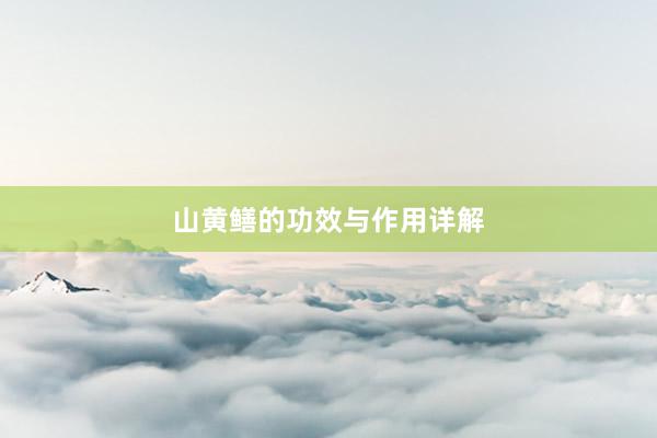 山黄鳝的功效与作用详解