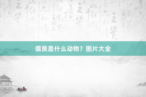 儒艮是什么动物？图片大全